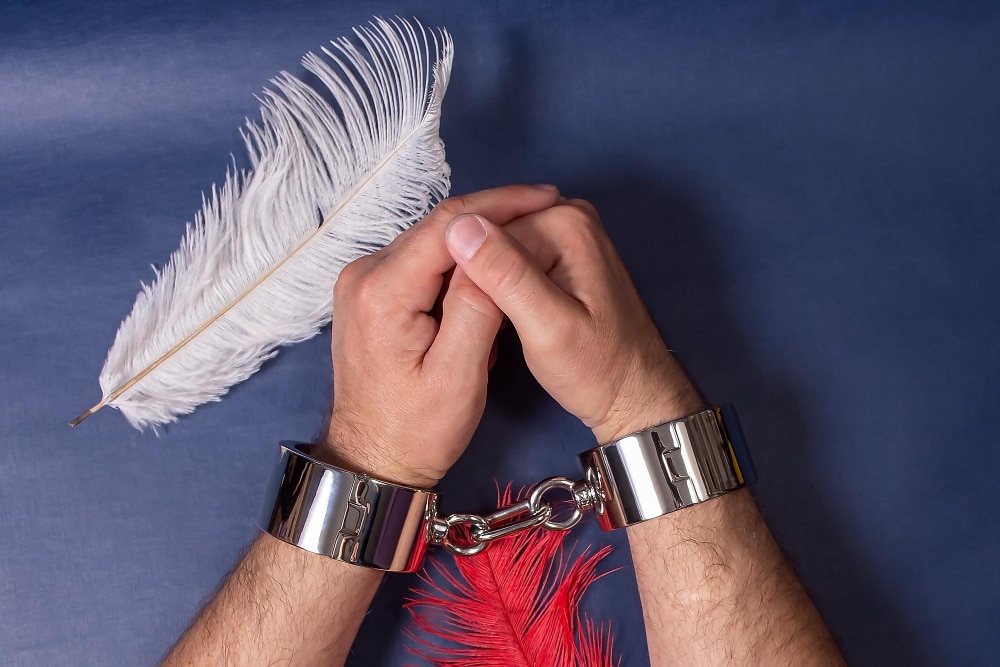 Vad betyder dominant och dominans? 4 Dominant dominans bdsm sexleksaker sexleksak sverige